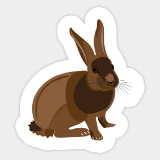 Tortoiseshell Rabbit Sticker